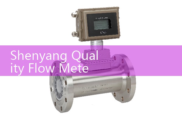 Shenyang Quality Flow Meter Manufacturer